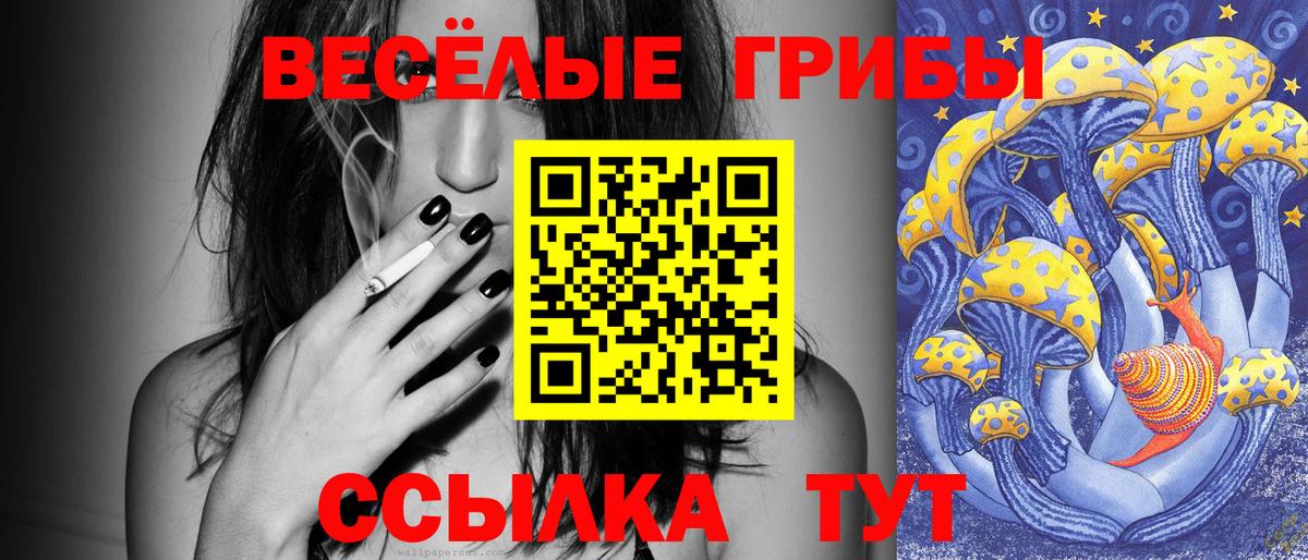 Галлюциногенные грибы Psilocybine cubensis  Вход с VPN  Заводоуковск 